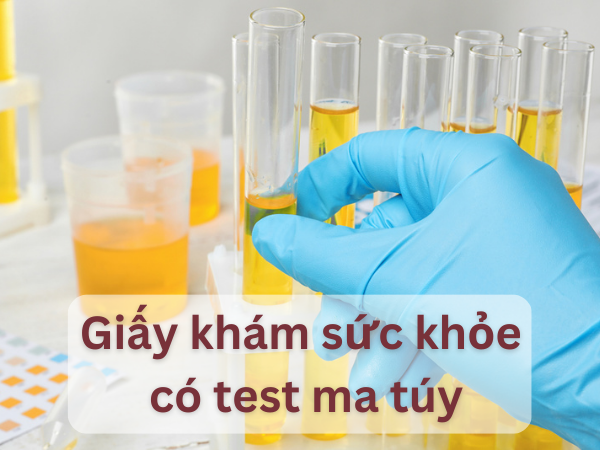 Giấy khám sức khoẻ có test ma tuý