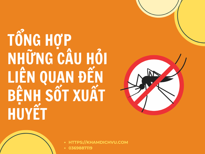 Tổng hợp những câu hỏi liên quan đến bệnh sốt xuất huyết