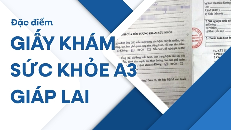 Giấy khám sức khỏe A3 giáp lai