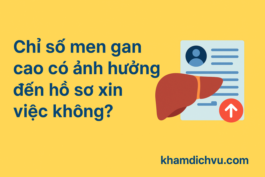 Chỉ số men gan cao có ảnh hưởng đến hồ sơ xin việc không