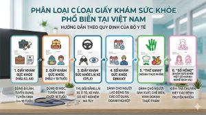 Giấy khám sức khỏe có mấy loại mẫu A3 và A4 mới nhất 2026